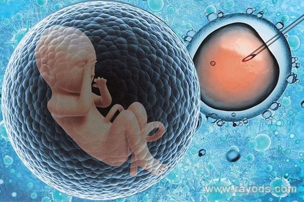 胚胎移植后为什么会出现便秘？