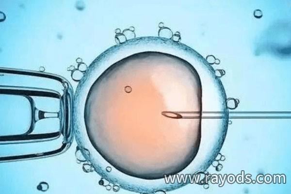 除了试管婴儿的成功率与年龄有关外，卵巢储备