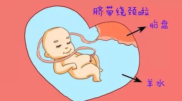 在沈阳做试管婴儿助孕需要哪些程序和过程？