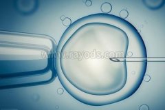 什么是体外移植后的胚胎发育缓慢？