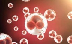 胚胎移植后，如果HCG值翻倍不满意，还需要保胎吗？