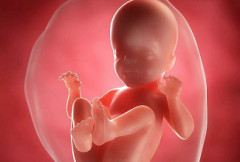 在沈阳做试管婴儿遇到马赛克胚胎是正常的吗？