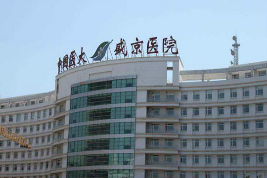 沈阳合法助孕机构
：辽宁的试管婴儿医院，费用和成功率