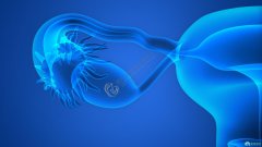 沈阳合法助孕价格:沈阳卵巢囊肿需要手术吗卵巢囊肿怎么治疗比较好。