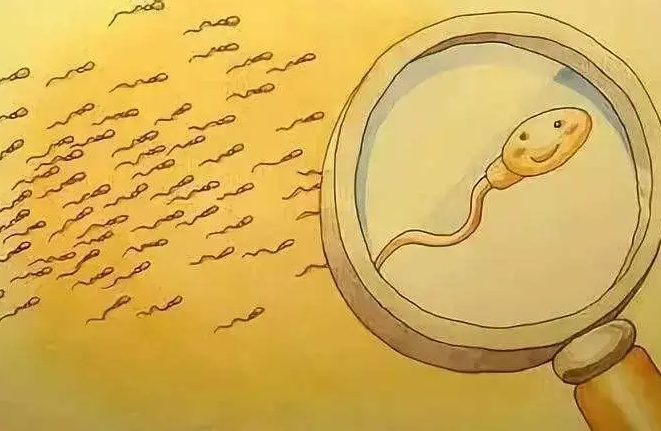 2022年武汉协和供精试管婴儿流程及费用! 你需要捐献精子吗？