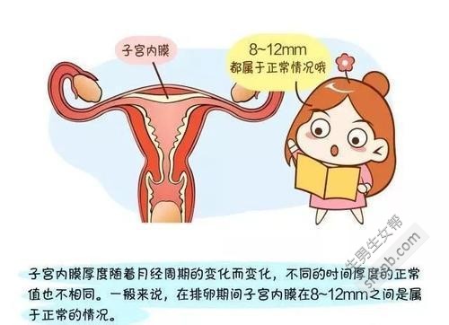 在俄罗斯做试管婴儿前如何调节子宫内膜？通常需要多少天来调节子宫内膜？ ...