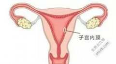 在俄罗斯做试管婴儿前如何调节子宫内膜？通常需要多少天来调节子宫内膜？