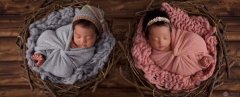 试管婴儿双胞胎的成功率是多少？