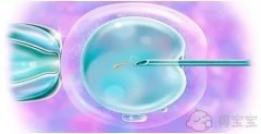<b>2022年四川省人民医院供卵试管婴儿的费用是多少？试管婴儿捐赠卵子费用一览</b>