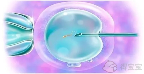 2022年四川省人民医院供卵试管婴儿的费用是多少？试管婴儿捐赠卵子费用一览