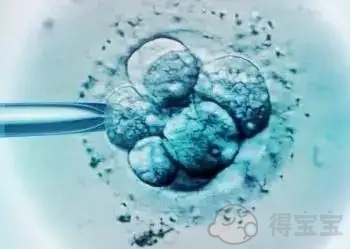 保定市妇幼保健院做试管：成功进行冷冻胚胎移植的经验是什么？需要考虑什么？