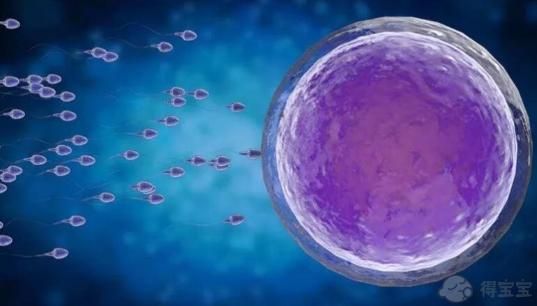 太原48岁合法助孕-试管婴儿囊胚移植中的大忌! 这5个重要的注意事项，你应该提前阅读。