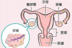 <b>沧州三代合法助孕-在排卵期不怀孕的解决办法是使用这三招。</b>