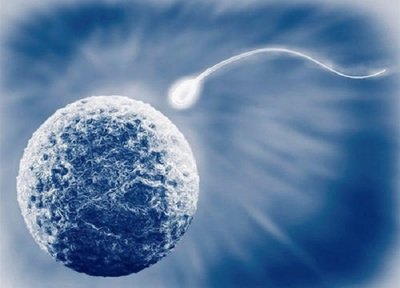 宿迁助孕男孩价格-实现拥有自己孩子的梦想的方法之一： 在格鲁吉亚用捐赠者的精子进行体外受精